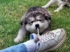 Файл=49637136.jpg
Объём=103KB
Размеры=700x525
Дата=Апр 21, 2007 49637136.jpg