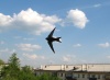 Файл=IMG_2683.jpg
Объём=1083KB
Размеры=1312x968
Дата=Июнь 17, 2008 IMG_2683.jpg