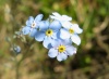 Файл=IMG_3538.jpg
Объём=149KB
Размеры=809x598
Дата=Июль 09, 2008 IMG_3538.jpg