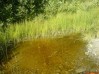 Файл=DSC01795.JPG
Объём=34KB
Размеры=448x336
Дата=Апр 22, 2007 DSC01795.JPG