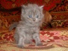 Файл=S6300107.JPG
Объём=1609KB
Размеры=2048x1536
Дата=Июль 17, 2008 S6300107.JPG