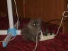 Файл=S6300633.JPG
Объём=458KB
Размеры=1024x768
Дата=Авг 30, 2008 S6300633.JPG