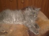 Файл=S6300753.JPG
Объём=468KB
Размеры=1024x768
Дата=Авг 30, 2008 S6300753.JPG