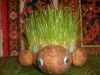 Файл=S6300762.JPG
Объём=433KB
Размеры=1024x768
Дата=Авг 31, 2008 S6300762.JPG