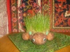 Файл=S6300763.JPG
Объём=389KB
Размеры=1024x768
Дата=Авг 31, 2008 S6300763.JPG