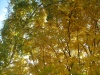 Файл=S6300885.JPG
Объём=329KB
Размеры=1024x768
Дата=Сент 20, 2008 S6300885.JPG