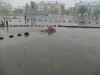 Файл=S6303574.JPG
Объём=1559KB
Размеры=2816x2112
Дата=Май 18, 2009 S6303574.JPG