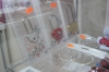 Файл=YVV4iCnBBdk.jpg
Объём=141KB
Размеры=1280x855
Дата=Янв 25, 2014 YVV4iCnBBdk.jpg