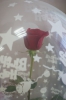 Файл=fcxy0Z8b14I.jpg
Объём=66KB
Размеры=681x1024
Дата=Июль 20, 2014 fcxy0Z8b14I.jpg