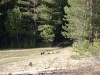 Файл=DSC00571.JPG
Объём=174KB
Размеры=1024x768
Дата=Май 11, 2007 DSC00571.JPG