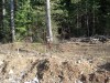 Файл=DSC00573.JPG
Объём=290KB
Размеры=1024x768
Дата=Май 11, 2007 DSC00573.JPG