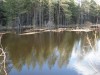 Файл=DSC00576.JPG
Объём=180KB
Размеры=1024x768
Дата=Май 11, 2007 DSC00576.JPG