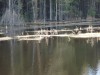 Файл=DSC00577.JPG
Объём=114KB
Размеры=1024x768
Дата=Май 11, 2007 DSC00577.JPG
