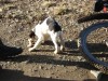 Файл=DSC00581.JPG
Объём=212KB
Размеры=1024x768
Дата=Май 11, 2007 DSC00581.JPG