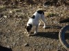 Файл=DSC00582.JPG
Объём=233KB
Размеры=1024x768
Дата=Май 11, 2007 DSC00582.JPG