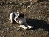 Файл=DSC00586.JPG
Объём=200KB
Размеры=1024x768
Дата=Май 11, 2007 DSC00586.JPG