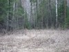 Файл=DSC00624.JPG
Объём=158KB
Размеры=1024x768
Дата=Май 16, 2007 DSC00624.JPG