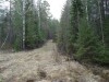 Файл=DSC00625.JPG
Объём=219KB
Размеры=1024x768
Дата=Май 16, 2007 DSC00625.JPG