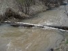 Файл=DSC00643.JPG
Объём=175KB
Размеры=1024x768
Дата=Май 16, 2007 DSC00643.JPG