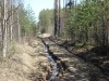 Файл=DSC00656.JPG
Объём=198KB
Размеры=1024x768
Дата=Май 21, 2007 DSC00656.JPG
