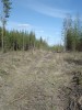 Файл=DSC00661.JPG
Объём=114KB
Размеры=576x768
Дата=Май 21, 2007 DSC00661.JPG