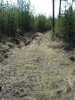 Файл=DSC00662.JPG
Объём=154KB
Размеры=576x768
Дата=Май 21, 2007 DSC00662.JPG