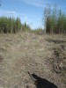 Файл=DSC00664.JPG
Объём=121KB
Размеры=576x768
Дата=Май 21, 2007 DSC00664.JPG
