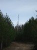 Файл=DSC00681.JPG
Объём=45KB
Размеры=576x768
Дата=Май 21, 2007 DSC00681.JPG