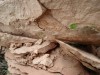 Файл=DSC00703.JPG
Объём=139KB
Размеры=1024x768
Дата=Май 28, 2007 DSC00703.JPG