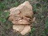 DSC00704.JPG