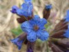 DSC00714.JPG