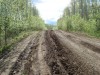 Файл=DSC00739.JPG
Объём=276KB
Размеры=1024x768
Дата=Май 28, 2007 DSC00739.JPG
