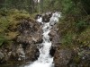Файл=DSC00796.JPG
Объём=221KB
Размеры=1024x768
Дата=Июнь 18, 2007 DSC00796.JPG