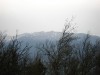 Файл=DSC00797.JPG
Объём=101KB
Размеры=1024x768
Дата=Июнь 18, 2007 DSC00797.JPG
