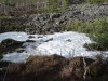 Файл=DSC00809.JPG
Объём=219KB
Размеры=1024x768
Дата=Июнь 18, 2007 DSC00809.JPG
