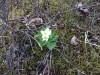 Файл=DSC00816.JPG
Объём=271KB
Размеры=1024x768
Дата=Июнь 18, 2007 DSC00816.JPG