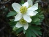 Файл=DSC00819.JPG
Объём=64KB
Размеры=1024x768
Дата=Июнь 18, 2007 DSC00819.JPG