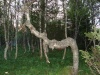 Файл=DSC00884.JPG
Объём=233KB
Размеры=1024x768
Дата=Нояб 18, 2008 DSC00884.JPG