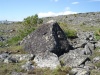 Файл=DSC00887.JPG
Объём=242KB
Размеры=1024x768
Дата=Нояб 18, 2008 DSC00887.JPG