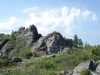 Файл=DSC00955.JPG
Объём=162KB
Размеры=1024x768
Дата=Нояб 18, 2008 DSC00955.JPG