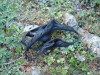 Файл=DSC01074.JPG
Объём=245KB
Размеры=1024x768
Дата=Июль 30, 2007 DSC01074.JPG