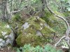 Файл=DSC01096.JPG
Объём=295KB
Размеры=1024x768
Дата=Июль 30, 2007 DSC01096.JPG