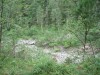 Файл=DSC01101.JPG
Объём=256KB
Размеры=1024x768
Дата=Июль 30, 2007 DSC01101.JPG