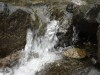 Файл=DSC01117.JPG
Объём=141KB
Размеры=1024x768
Дата=Июль 30, 2007 DSC01117.JPG