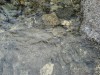 Файл=DSC01118.JPG
Объём=195KB
Размеры=1024x768
Дата=Июль 30, 2007 DSC01118.JPG