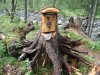Файл=DSC01125.JPG
Объём=280KB
Размеры=1024x768
Дата=Июль 30, 2007 DSC01125.JPG