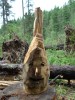 Файл=DSC01127.JPG
Объём=98KB
Размеры=576x768
Дата=Июль 30, 2007 DSC01127.JPG