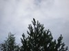 DSC01316.JPG