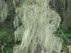 Файл=DSC01320.JPG
Объём=113KB
Размеры=1024x768
Дата=Фев 07, 2008 DSC01320.JPG