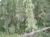 Файл=DSC01321.JPG
Объём=223KB
Размеры=1024x768
Дата=Фев 07, 2008 DSC01321.JPG